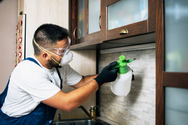 Best Best Pest Control Companies  in Van Buren, MO