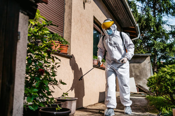 Wasp Removal Services in Van Buren, MO