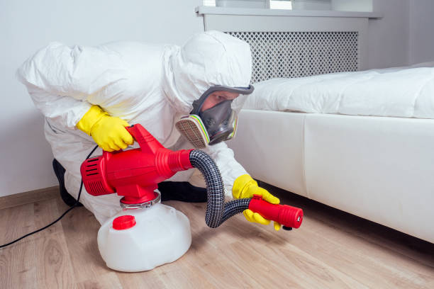 Best Bed Bug Extermination  in Van Buren, MO