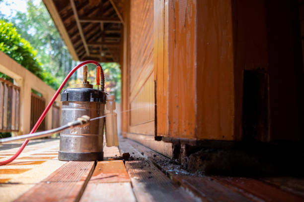 Best Affordable Pest Control Services  in Van Buren, MO