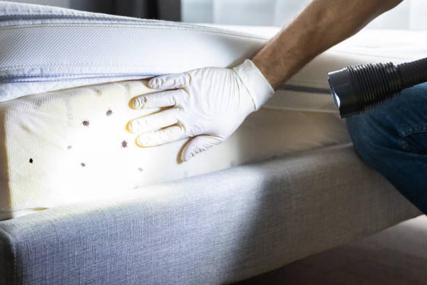 Best Best Pest Control Companies  in Van Buren, MO