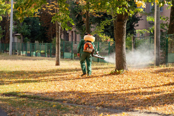 Pest Control for Restaurants in Van Buren, MO