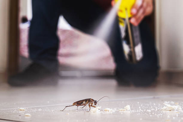 Pest Prevention Services in Van Buren, MO