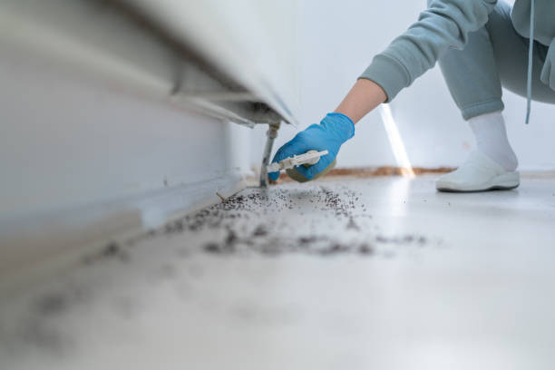 Best Wildlife Control Services  in Van Buren, MO