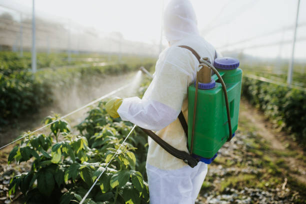 Best Exterminator Services  in Van Buren, MO
